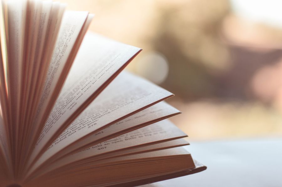 Close-up of open book pages, warm light